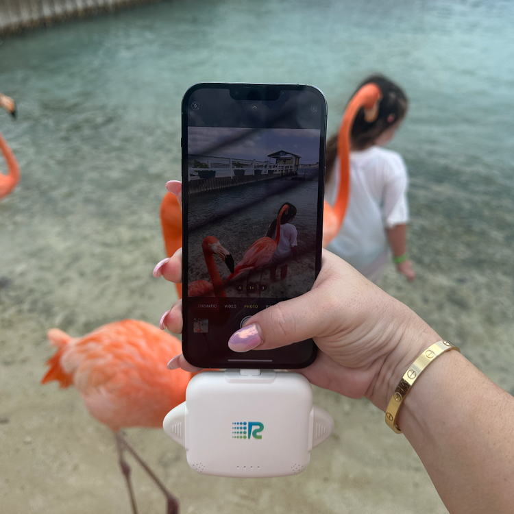 RC Universe 3-in-1 Charger - 8 Pack (All Colors)