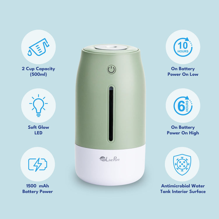 Green and white humidifier with features listed on a light blue background