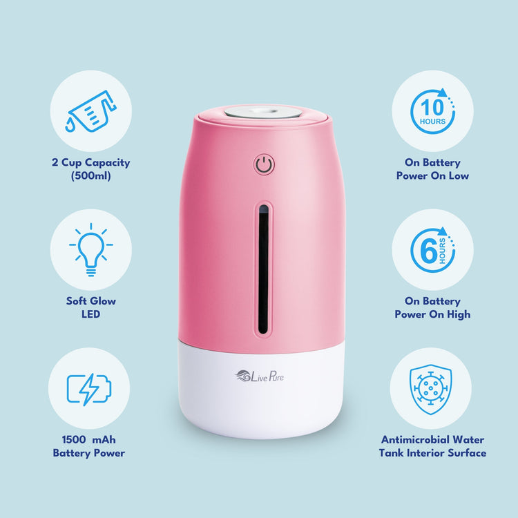 Pink humidifier with features listed on a light blue background