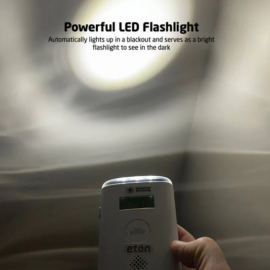 Blackout Buddy Bundle - Carbon Monoxide + H20