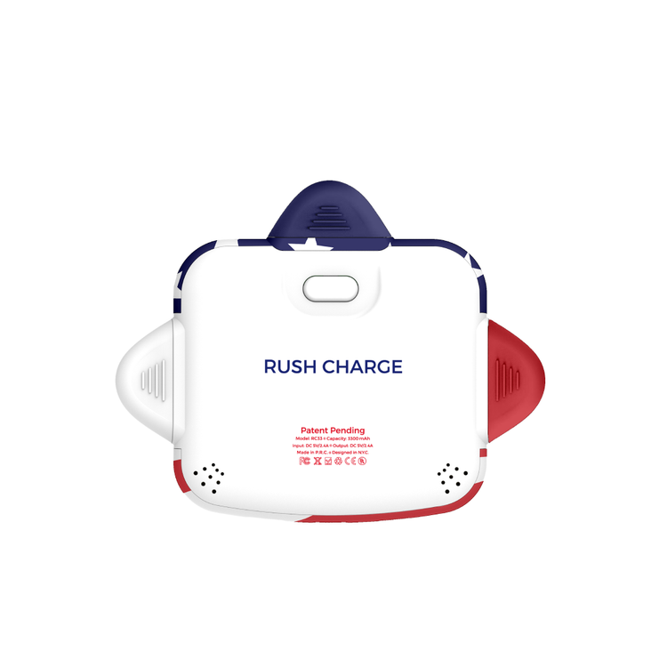 RC Universe 3-in-1 Charger