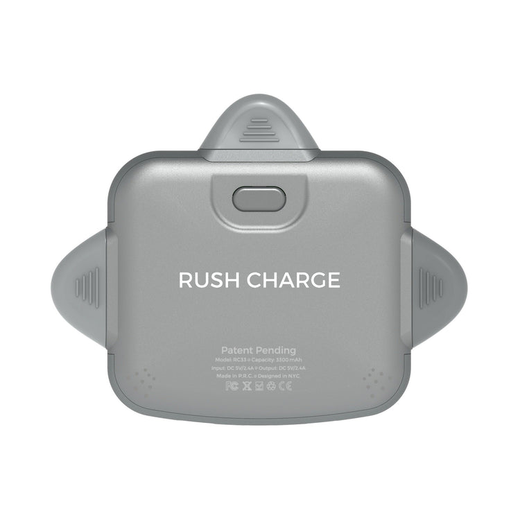 RC Universe 3-in-1 Charger