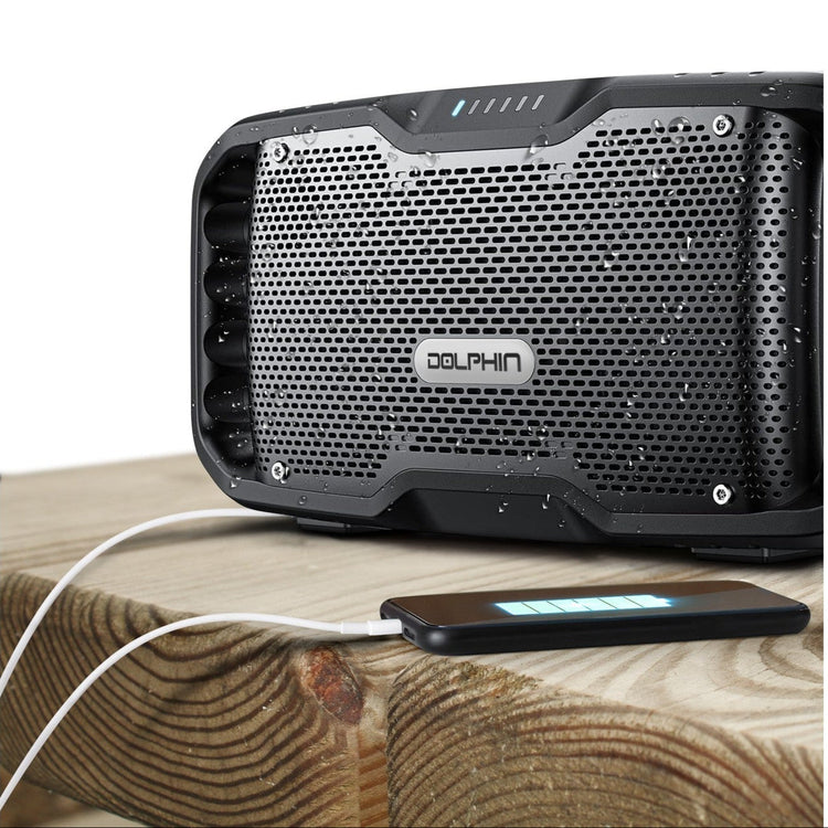 Black Dolphin speaker on a wooden surface with a phone connected by a cable.