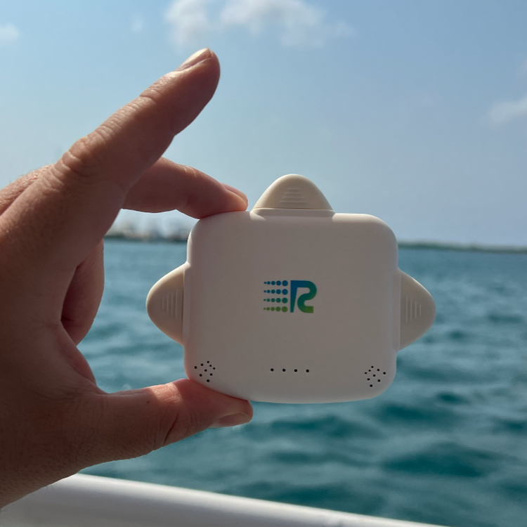 RC Universe 3-in-1 Charger