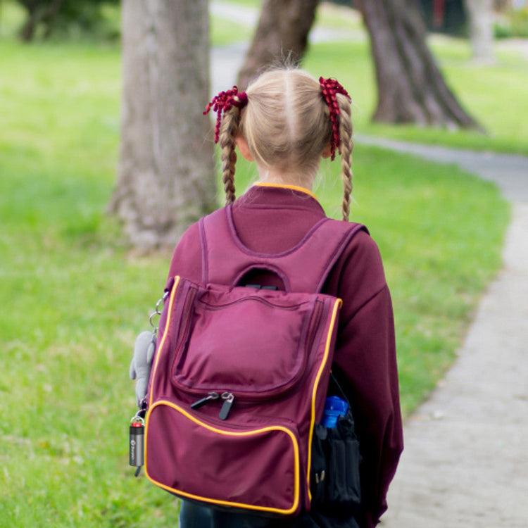 Girl with braided hair wearing a maroon backpack walking on a path in a park.