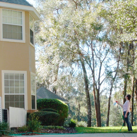 Person using a hose to clean the exterior of a house