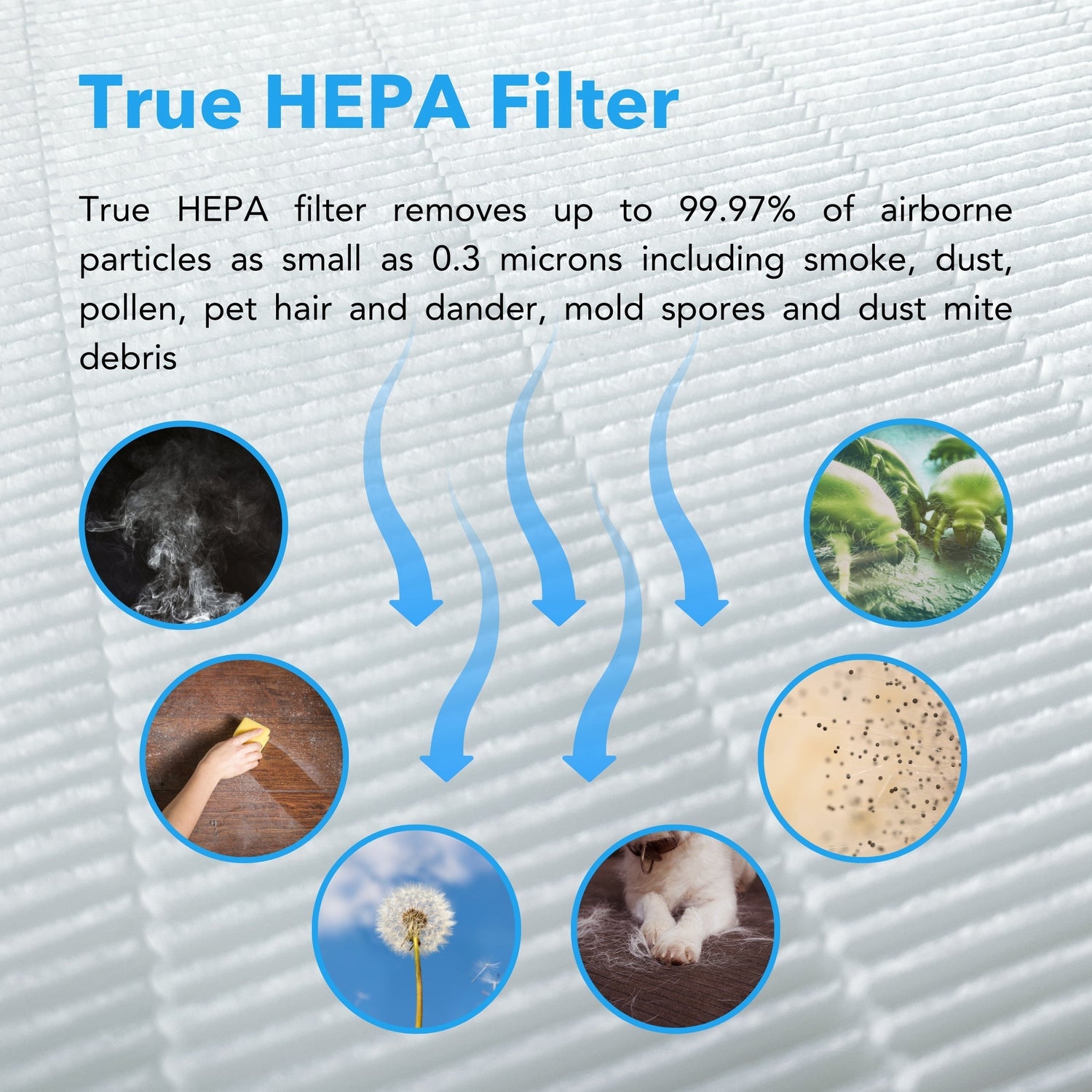 True HEPA filter infographic with text and icons on a textured background